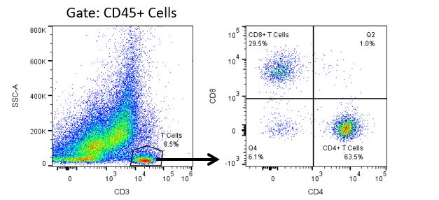 Tumor-infiltrating CD4+ and CD8+ T cell analysis in a murine 4T1 breast carcinoma model. Tumor-infiltrating CD4+ and CD8+ T cell analysis in a murine 4T1 breast carcinoma model.