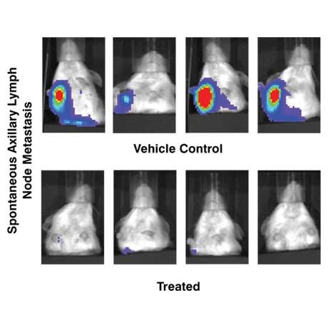 Photo of a Covance nonclinical imaging device.