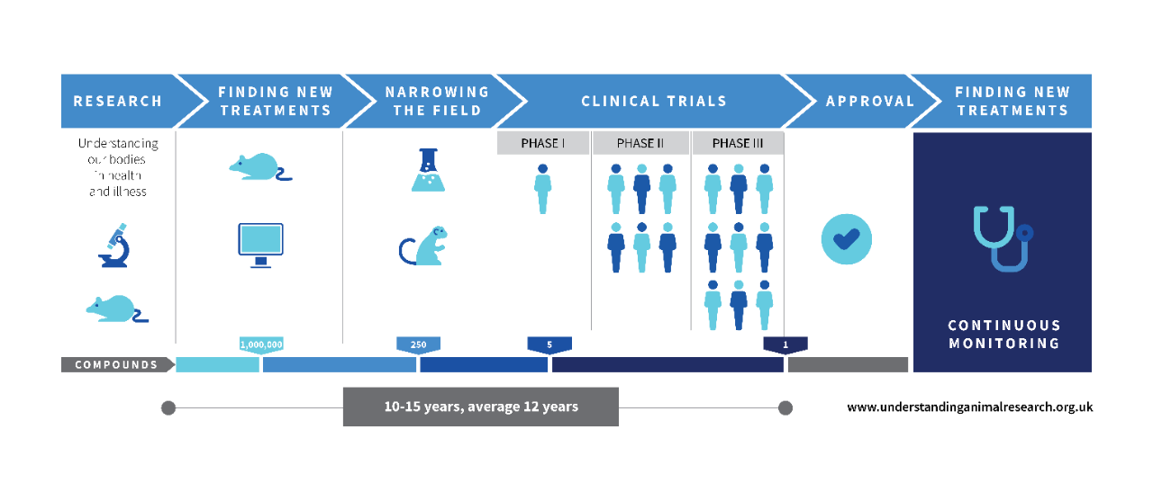 The process of clinical testing