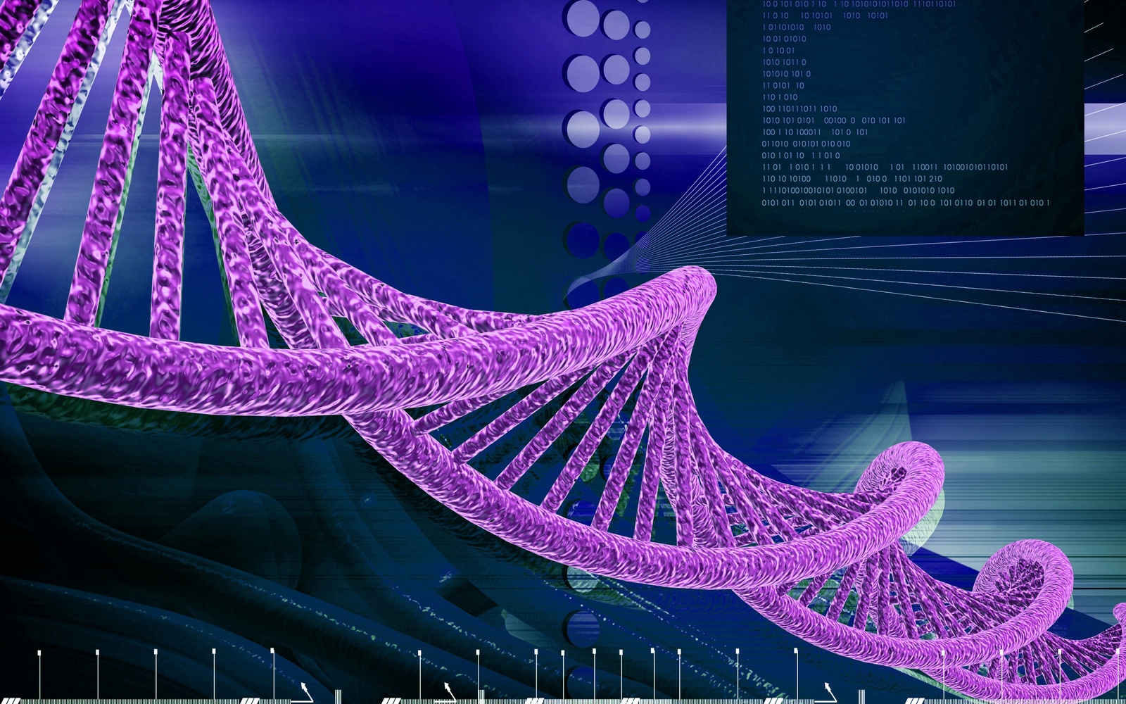 紫色dna strand.