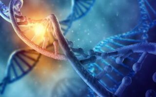 Gene Therapies