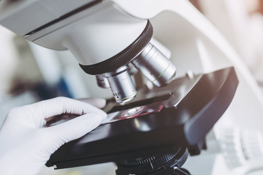 定量全身放射自拍照(QWBA)您的问题回答从我们的实验室对您的见解 亚博名字,亚博全站官网,亚博国际游戏官网