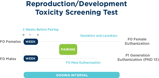 繁殖发展毒性筛查测试