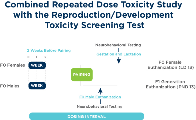 结合重复剂量毒性研究与繁殖/发育毒性筛查试验