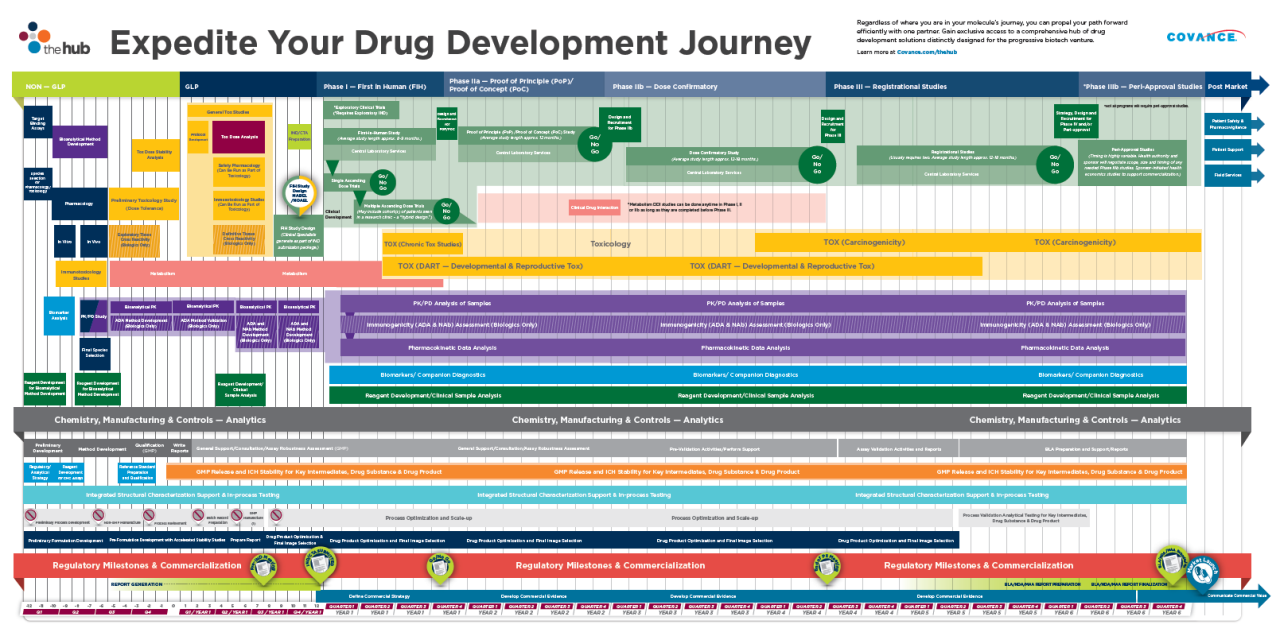 Drug development journey timeline