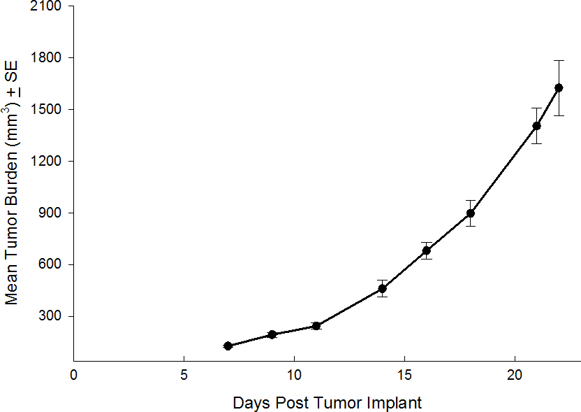 KP4：人类胰腺导管癌