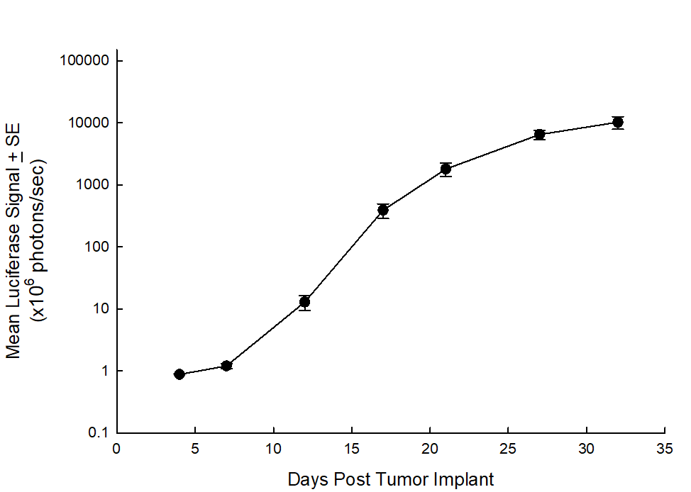 Reh (pMMP-Luc-Neo) Human B Cell (Acute Lymphocytic) Leukemia Growth Chart