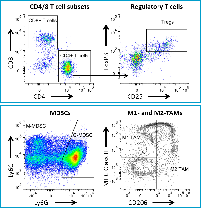 图5：4T1-LUC2肿瘤的流式细胞术免疫分析。