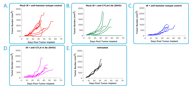 图2：抗CTLA-4和局部放射治疗原位4T1-LUC2乳腺肿瘤模型的疗效。
