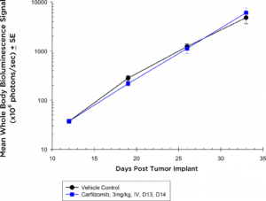 Fig. 3a:  Anti-tumor Effects of Carfilzomib on Disseminated 5TGM1-luc Disease in NIH-III Nude Mice