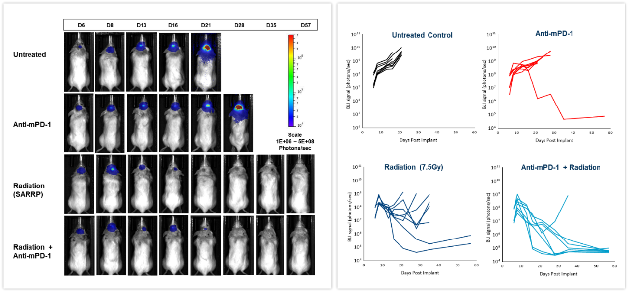 BLI-tech-spotlight-figure6