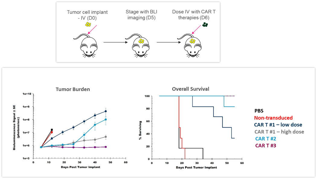 BLI-tech-spotlight-figure4