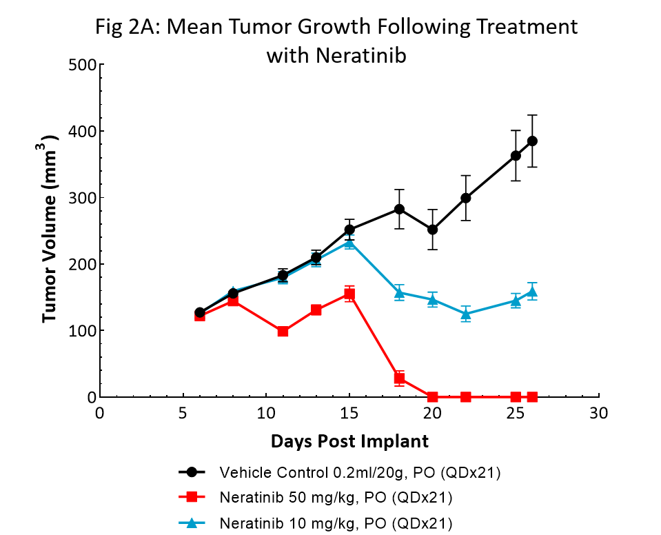 图2A：均值BT-474肿瘤生长治疗后有来那替尼