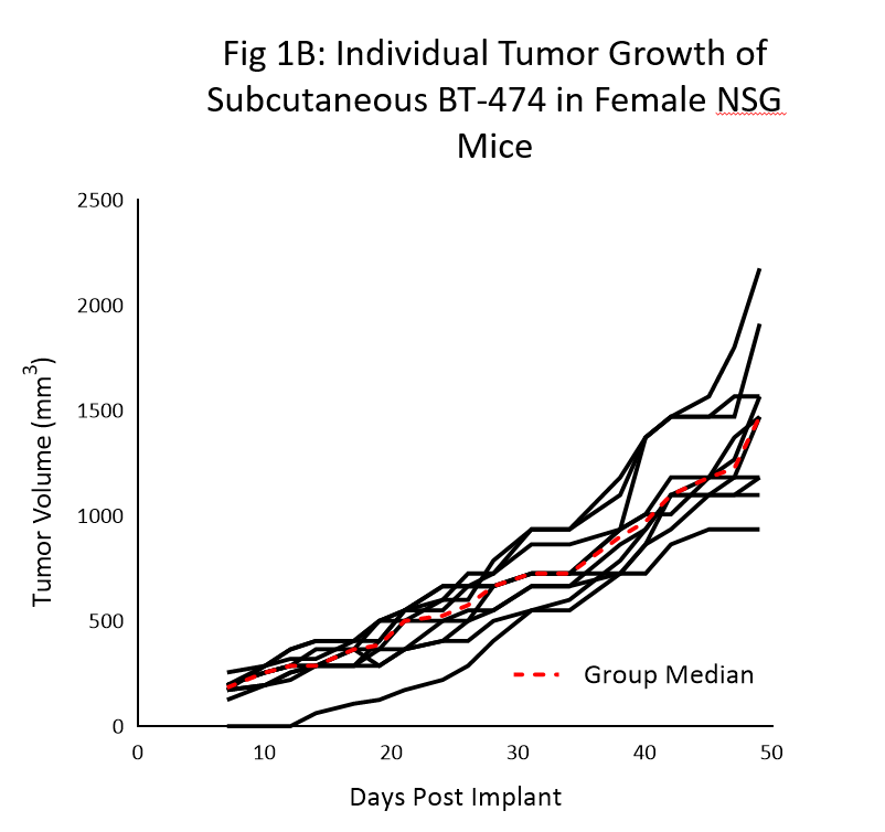 图1B：在雌性NSG小鼠皮下BT-474的个别肿瘤生长