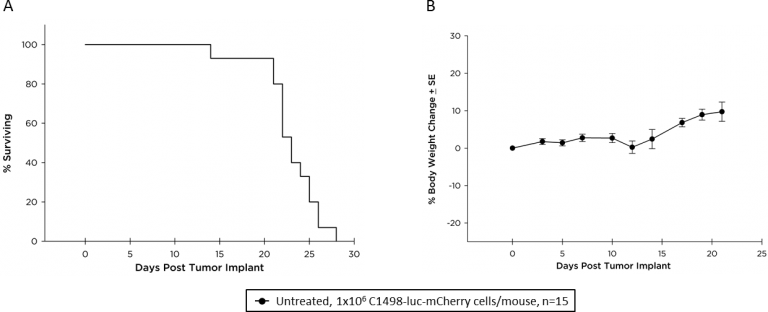 图2：生存动力学（A）和C57BL / 6小鼠的体重变化（B）弥散性C1498-LUC-mCherry的AML。