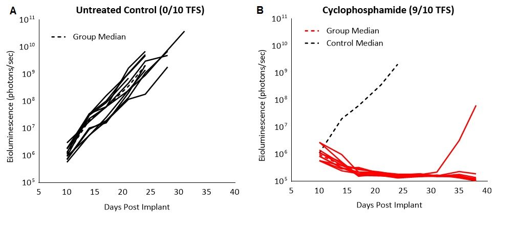 图2：C1498-吕克-mCherry的响应于C57BL / 6小鼠环磷酰胺治疗。A和B：从每个单独小鼠随时间的生物发光信号。黑线点表示未处理对照组的中位信号。