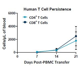 Figure 2.  Measurement of human T cell persistence in mice over 21 days.