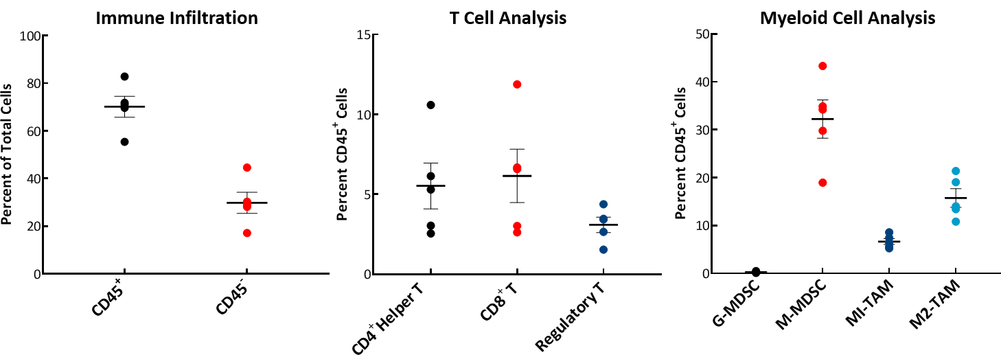 图2：E0771的肿瘤免疫分布显示免疫细胞浸润。