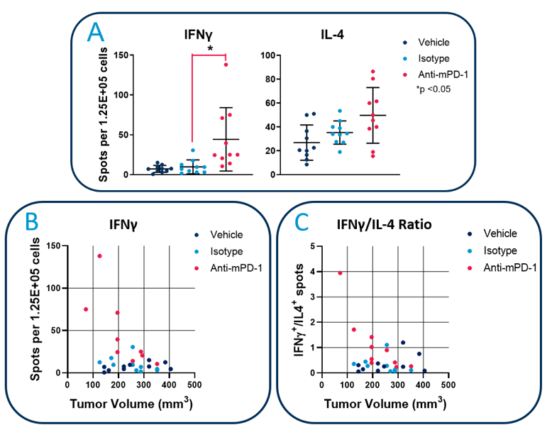 图2：HEPA1-6-LUC肿瘤携带小鼠抗肿瘤免疫的含氟分子分析。C57BL / 6小鼠与已建立的HEPA1-6-LUC肿瘤进行抗PD-1或同种型对照抗体。用辐照的HEPA1-6-LUC细胞培养200μl外周血的白细胞。a）使用CTL免疫带S6通用分析仪定量IFNγ和IL-4分泌细胞的频率。b）对每只小鼠的IFNγ产生细胞频率对肿瘤体积的分析。C）。通过测量IFNγ/ IL-4产生细胞的比率评估每只鼠标的Th1 / Th2平衡。