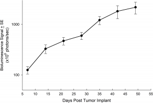 图6：在原位植入NCI-1703后的平均肿瘤负担