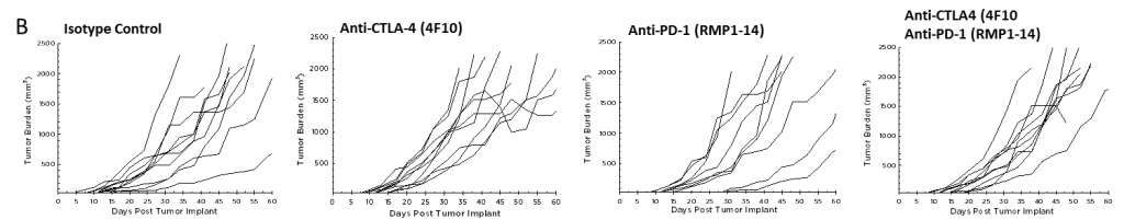 图2B  - 抗PD-1的功效和抗CTLA-4反PAN02胰腺肿瘤