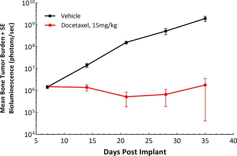 图4A：心内植入后PC-3M-C6的定量。