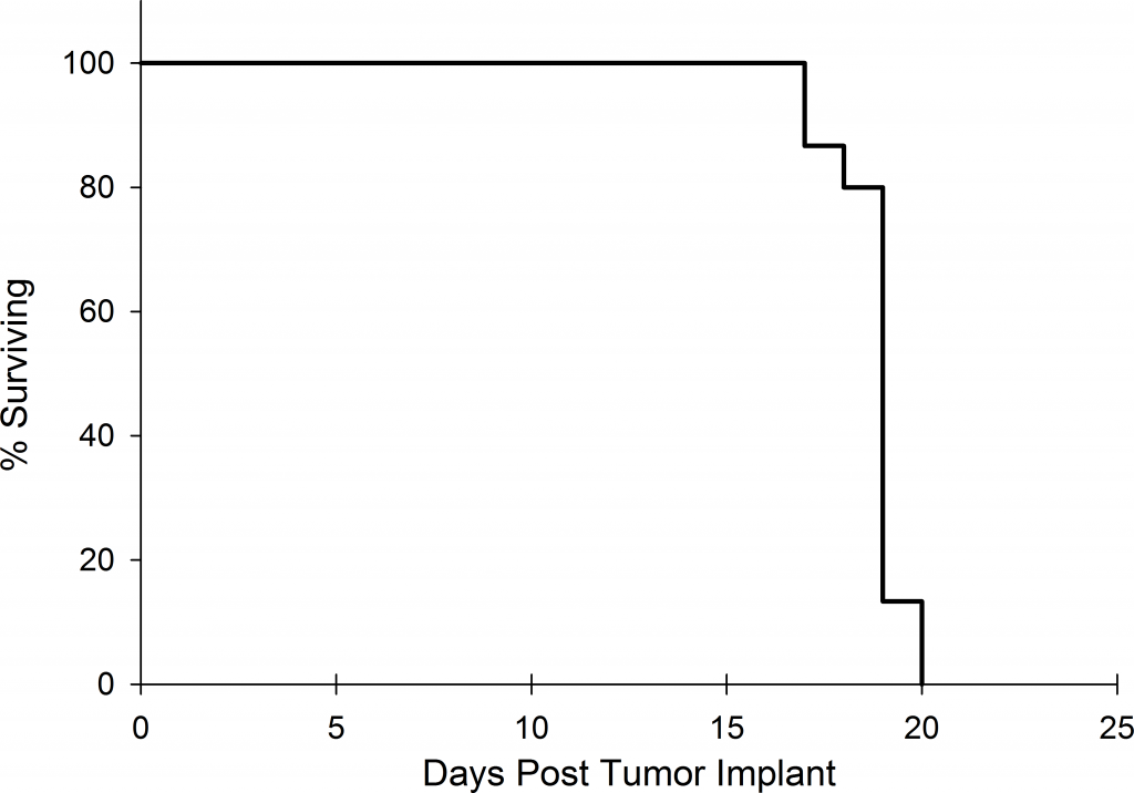 Fig. 1C: Overall survival following IV injection of Raji-Luc in NSG mice
