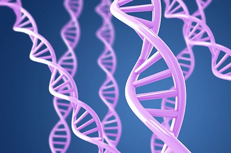 紫色回旋图形表示遗传毒性DNA螺旋。