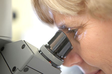 Photo of a genetic toxicology scientist in a Covance lab using a microscope.