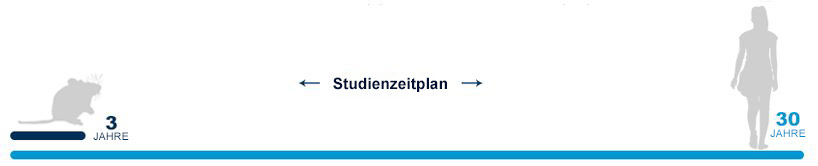 Studienzeitplan