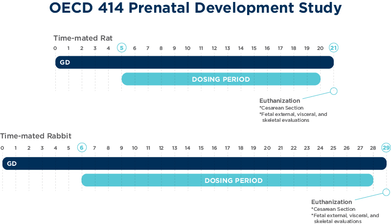 OECD 414产前发展研究
