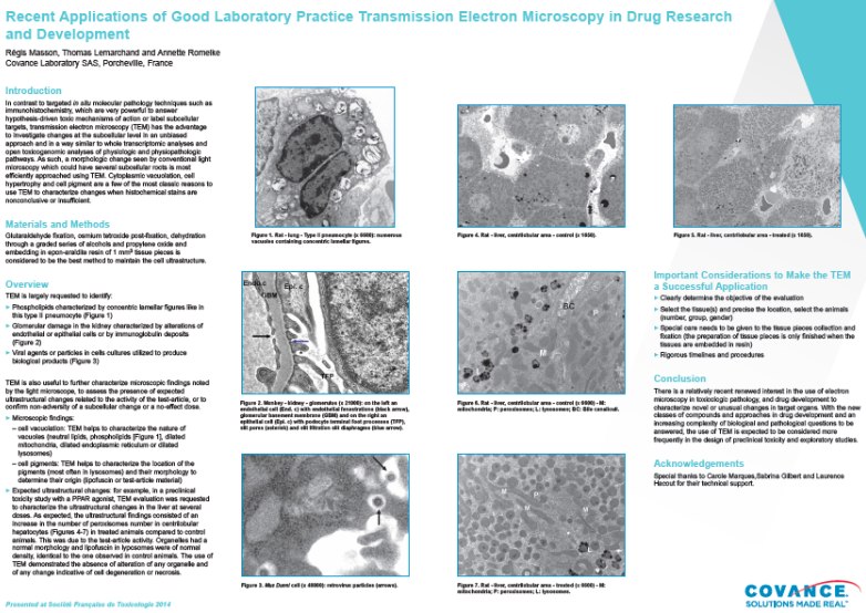 póster：aplicaciones recientes demicroscopíaelightónicadetransmisiónconbpl