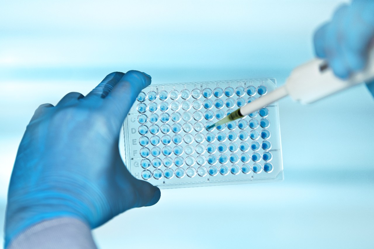 生化实验室的科学家手握移液管和多孔板/技术员手握多孔板