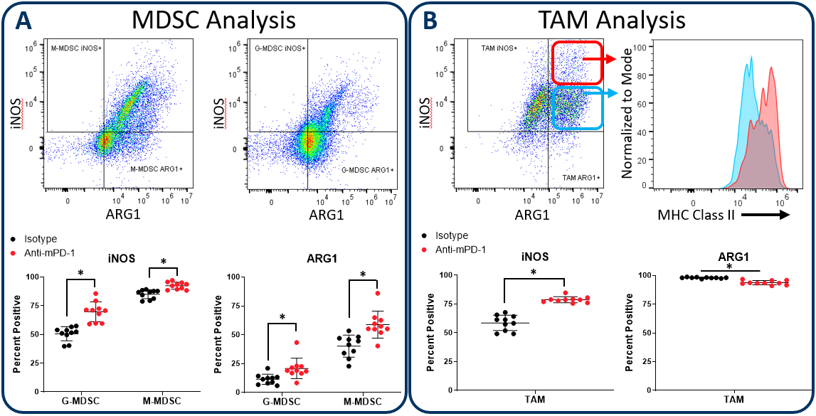 图2。伊诺和精氨酸酶1在MDSC和分析TAM subsets.
