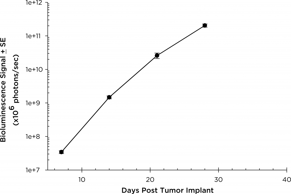 图4:NSG小鼠中MM.1S-pMMP-LucNeo人多发性骨髓瘤:平均总肿瘤负担BLI信号