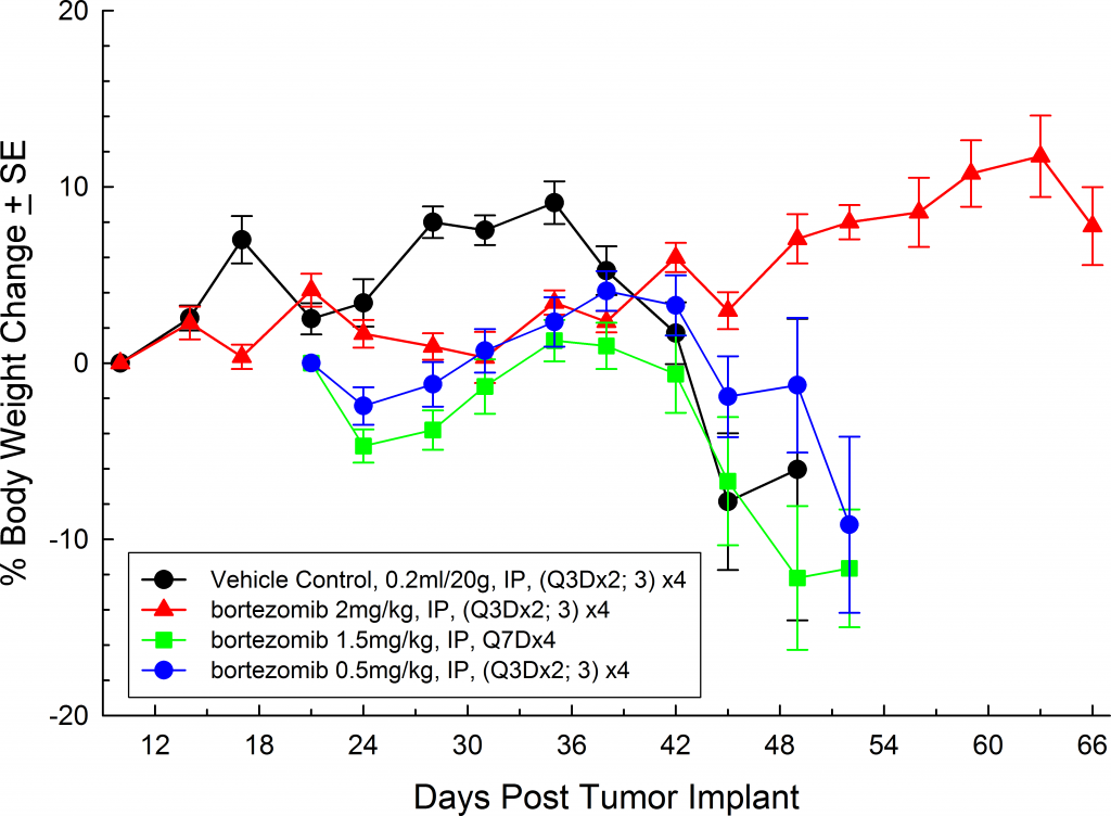 图5:SCID米色小鼠中MM.1S-pMMP-LucNeo人多发性骨髓瘤:平均体重变化