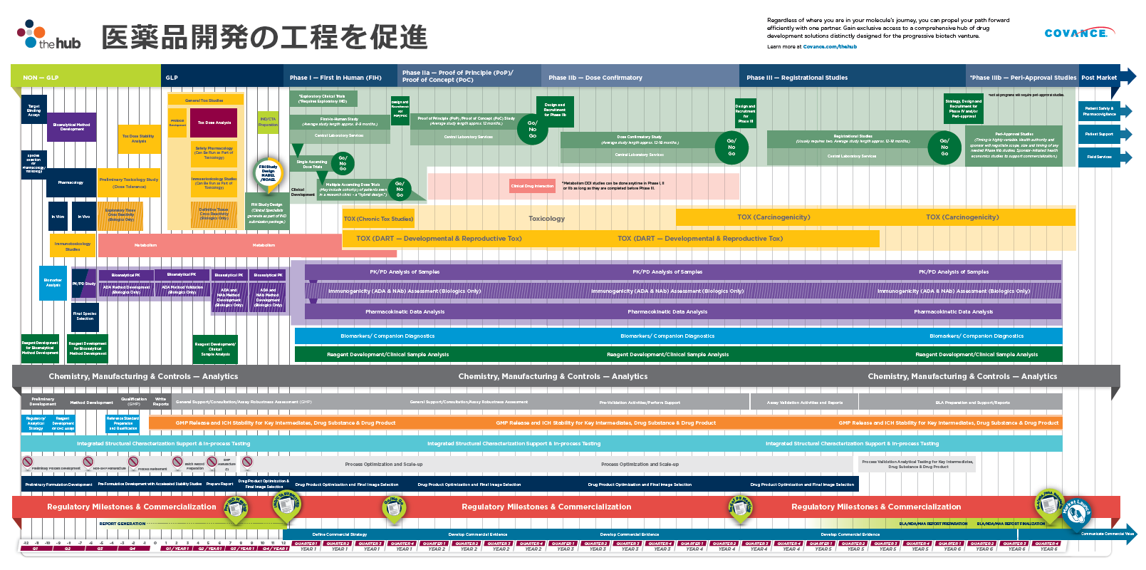 医薬品開発工程タイムライン