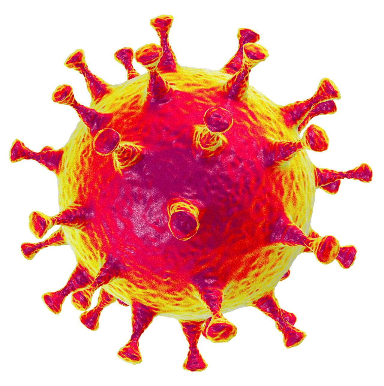 Coronavirus