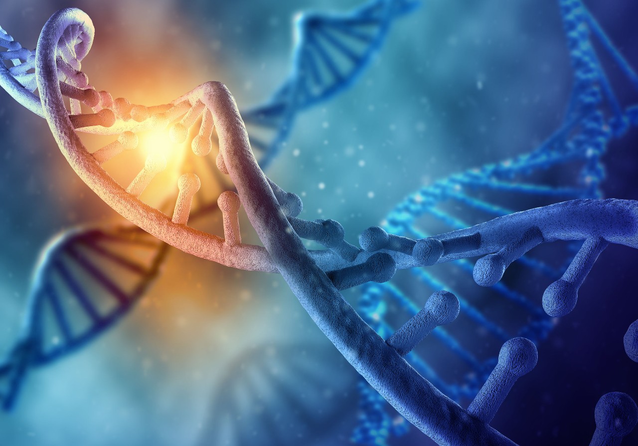 基因疗法继续承担许多疾病的治疗，但为提交提交有许多和独特的挑战，以作为调查新药（IND）/调查药品掺入（IMPD）用于临床试验的应用。这些应用需要优化的科学计划，旨在解决基因治疗发展的科学，监管和实际挑战。