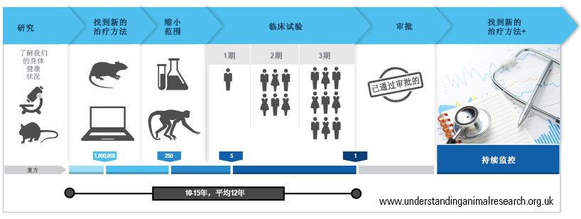 临床测试流程