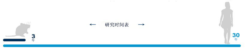 研究时间表