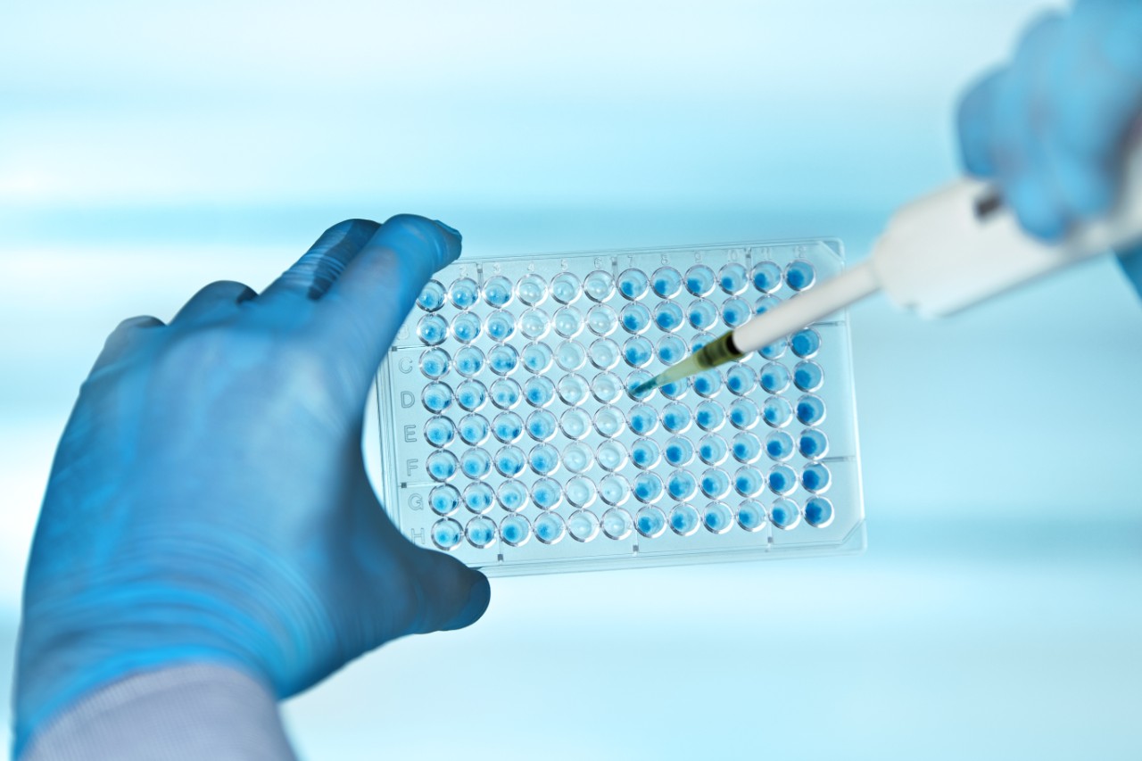 生气实验室中拿着移液管和多种的科学家的手/在实验室中用多孔板行移液的技术似的